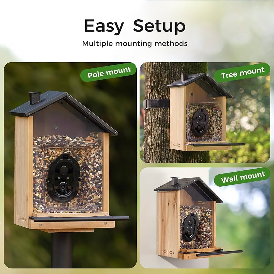 Amazon.com: Bird Feeder with Camera, BBPECO Smart Bird House
